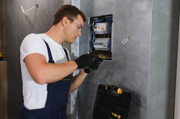 Best Electrical System Inspection  in Walnut Grove, CA